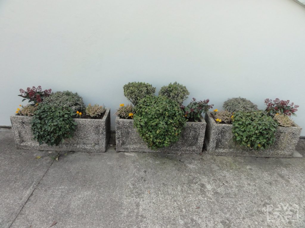LETOŠNJI ZAKLJUČEK PROJEKTA CROCUS 