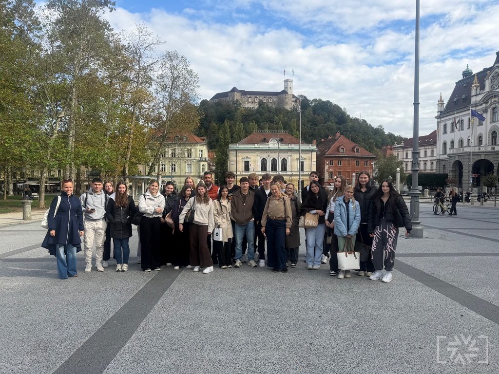 STROKOVNA EKSKURZIJA 3. C V LJUBLJANO